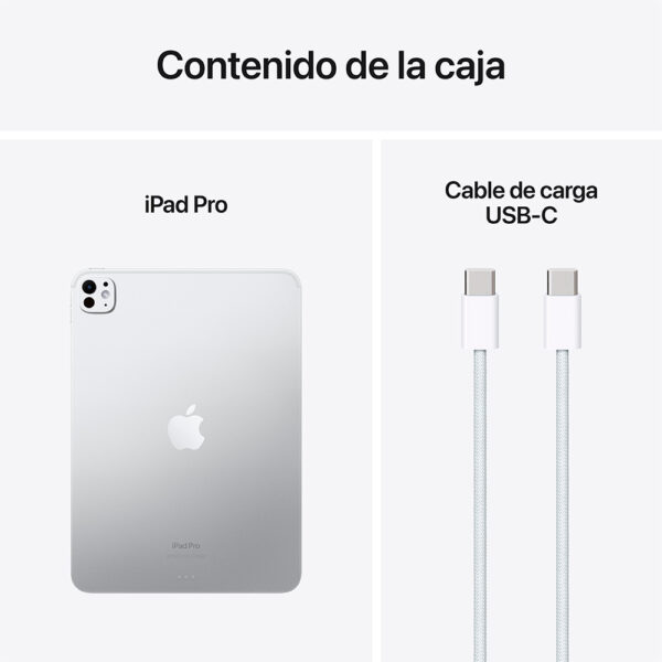 iPad Pro 13" Chip M4 2TB Plata