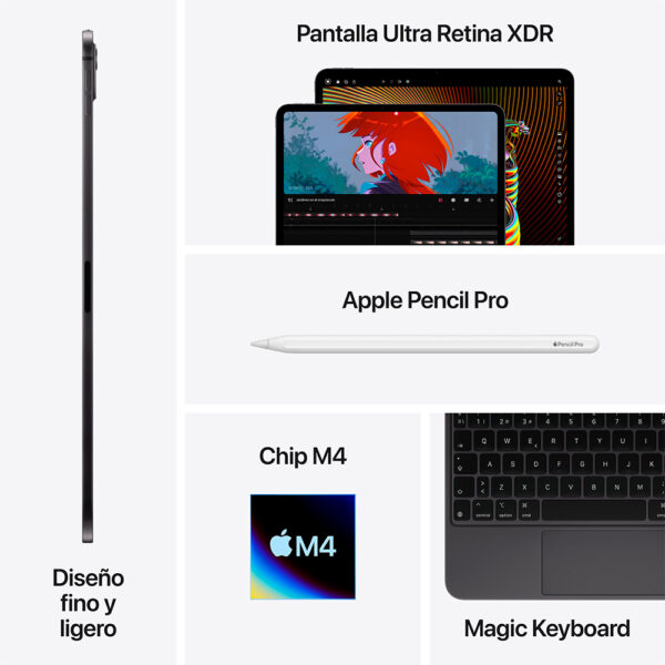 iPad Pro 13" Chip M4 2TB Plata